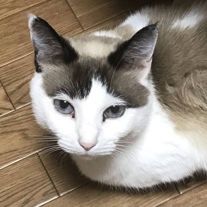 Fea65725 7333 4197 95b6 5d1b573b35da