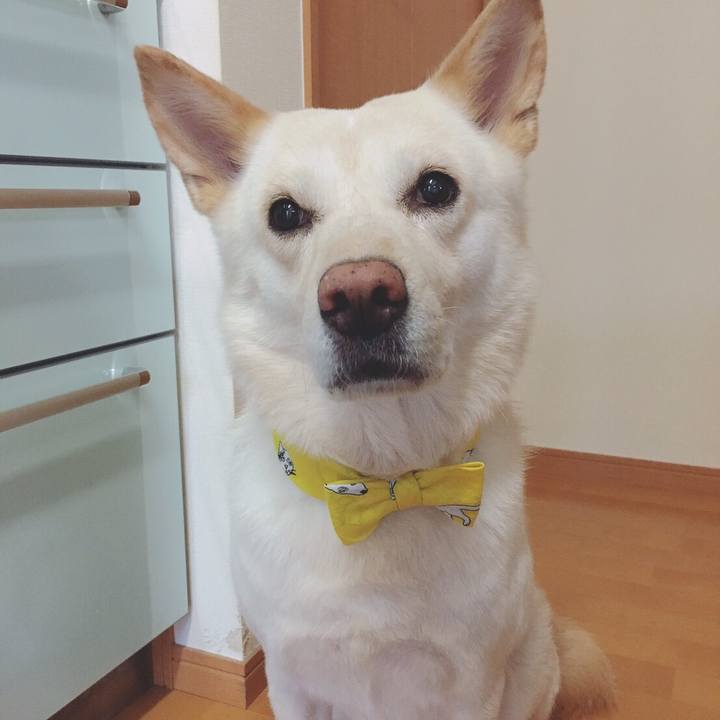 Fea65e7e 3332 4dbe 98c6 ac1645f33204