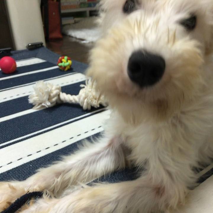 Fea80bd5 e280 4c34 be5b b299f39a8c15