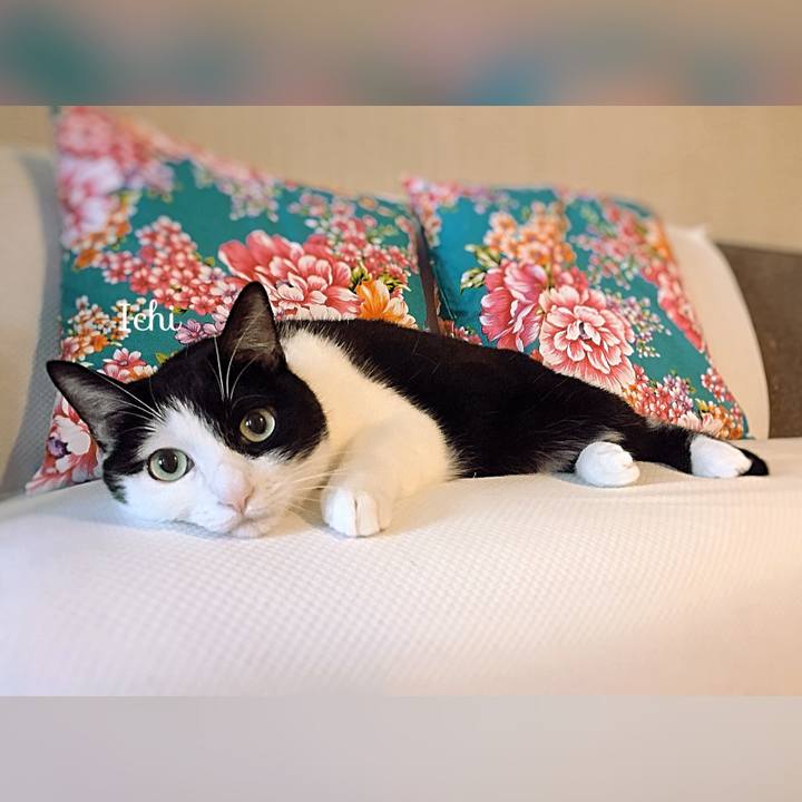 Fea82a5b b3ea 409f 971a 8a04aab9fc59