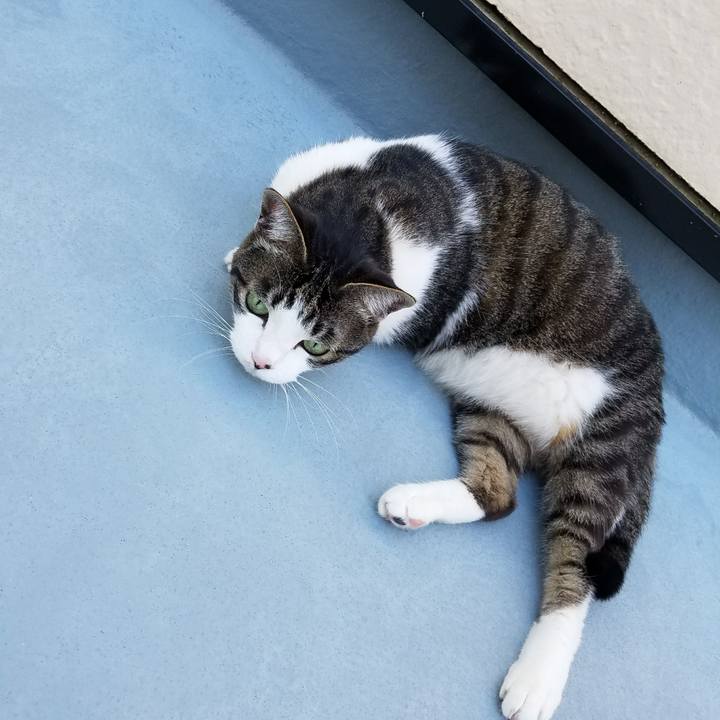 Fea83285 d2db 4ecd 827b 289928302538