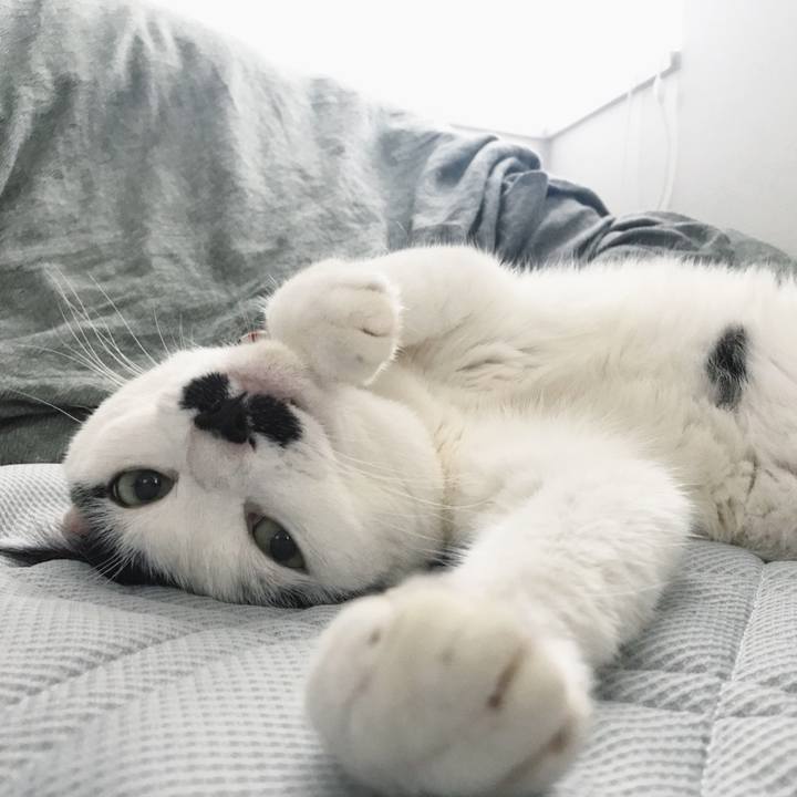 Fea870be 9ebb 47bb b8d9 05f046ea03b5