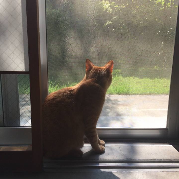 Fea87cc8 9488 43ad bd94 4a4f4712d439