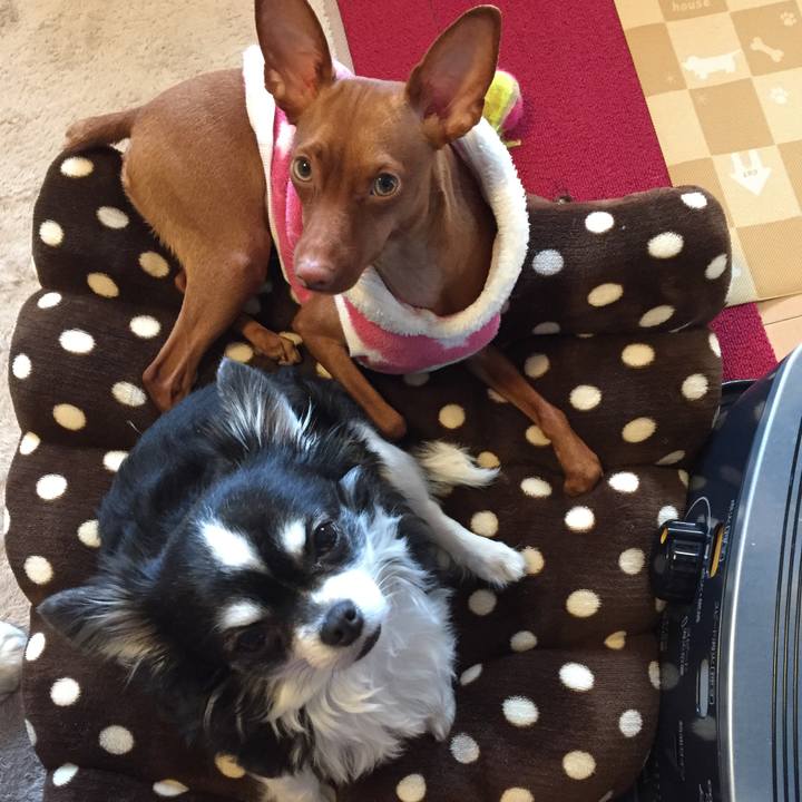 Fea8da4a 06d7 4211 98af 626df230ddc0