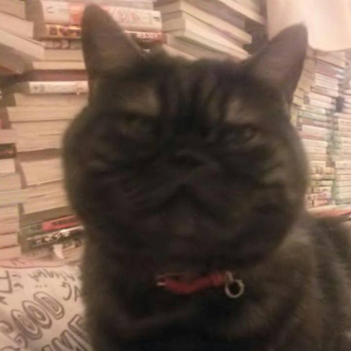 Fea8f778 905c 4b50 983c fbaaa82806e3