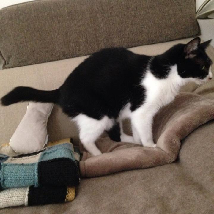 Fea91d0d a92d 4161 923a 5eabf78bdf88