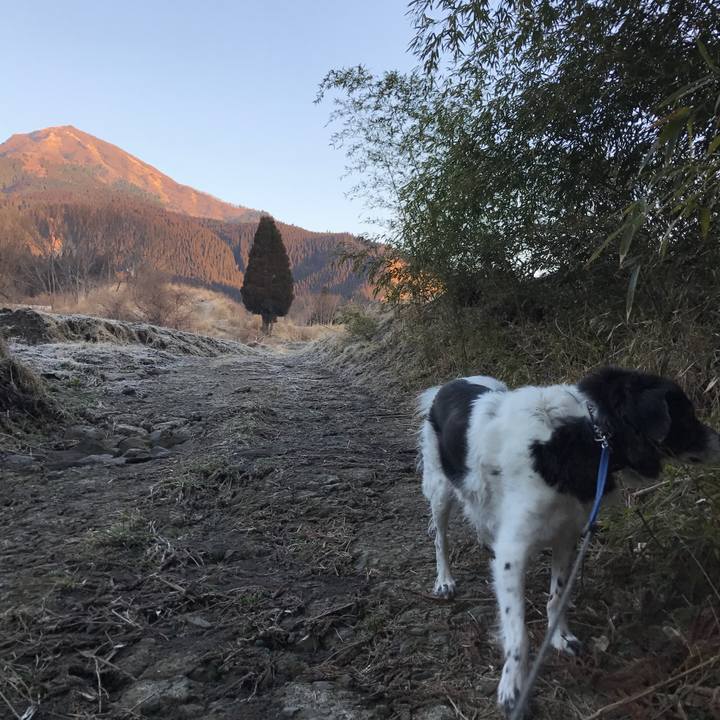 Feab56d5 1c75 4c0f 8cb0 bb41c4ab9beb