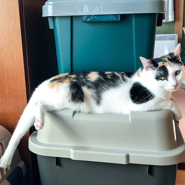 Feabc447 ae50 4e3f 9b46 808100a659e6