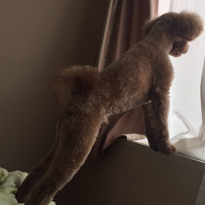 Feabe901 2415 4f6d 9964 a7c6a908c837