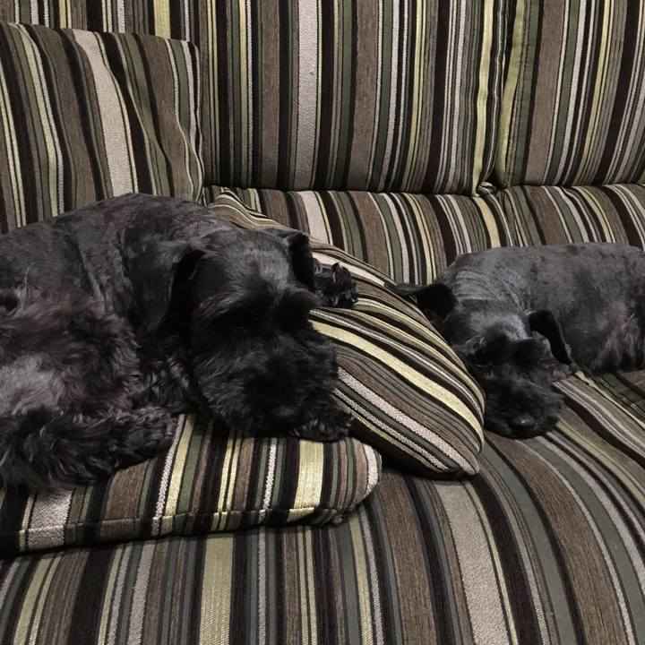 Feacab6b 063a 43fd ba1f a4e44810b1fe