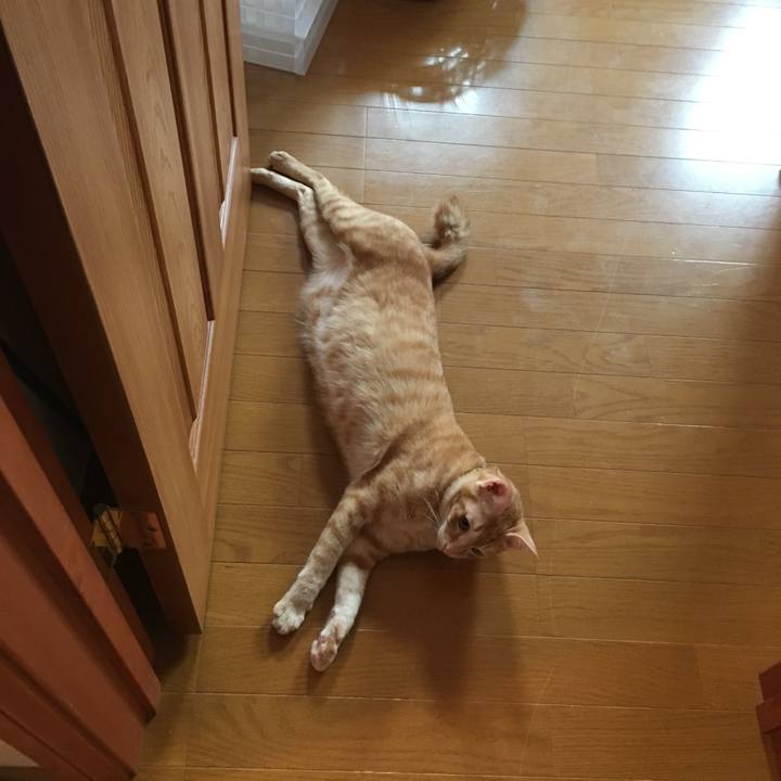 Feacca1c 8467 432d 8491 3027d24674e8