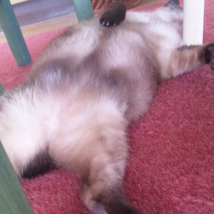 Fead1547 a70e 45cb b27d f603a27da14f