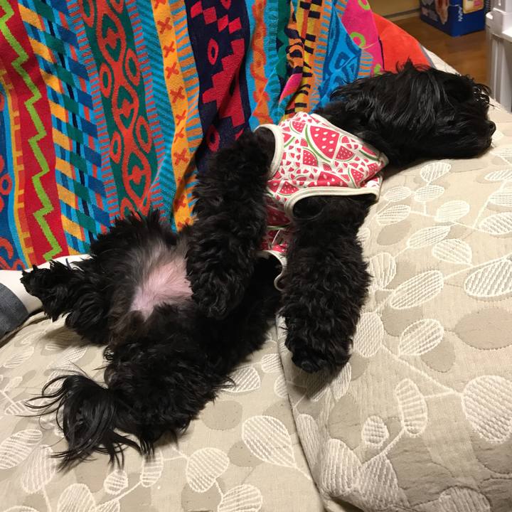 Fead49cd 4dc7 4b30 b8e3 8eb303ee8486