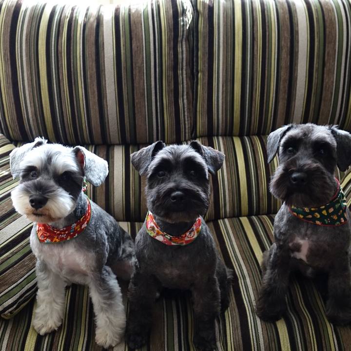 Feae8ddd 3554 4769 8270 a9dc97ff5e20