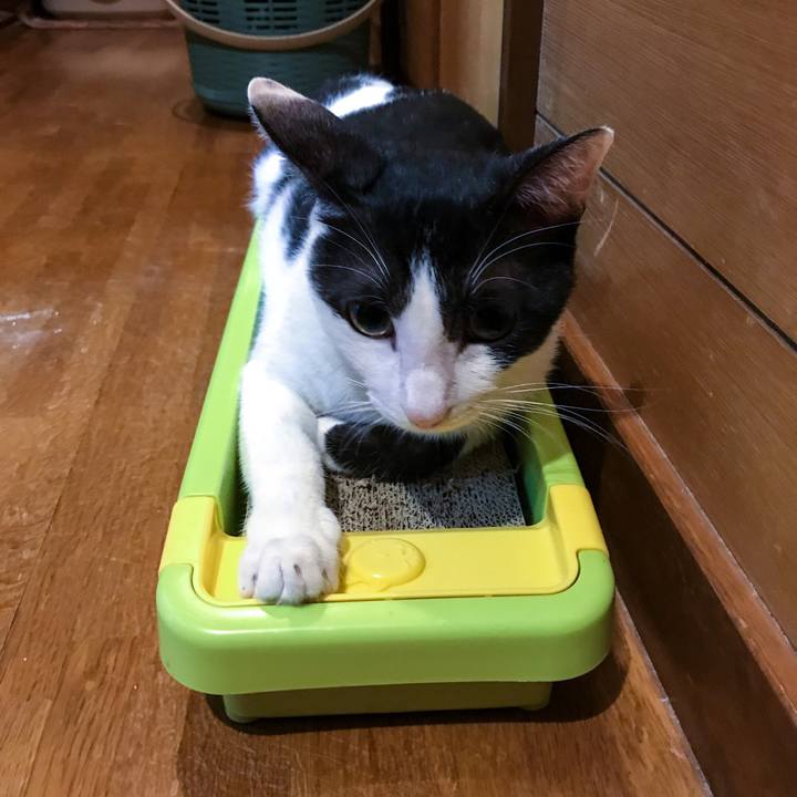 Feaeb94a 4f30 4a3e a038 470b8225d193