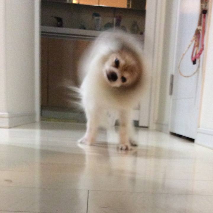 Feaf1178 d3b0 4041 81aa 066edb19be01