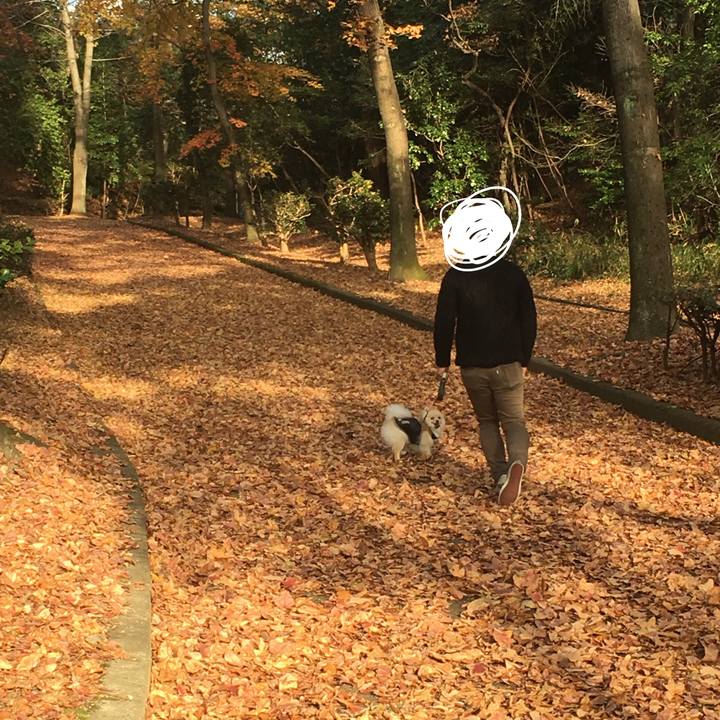 Feaf1dbe f743 470b b175 365b607434cf