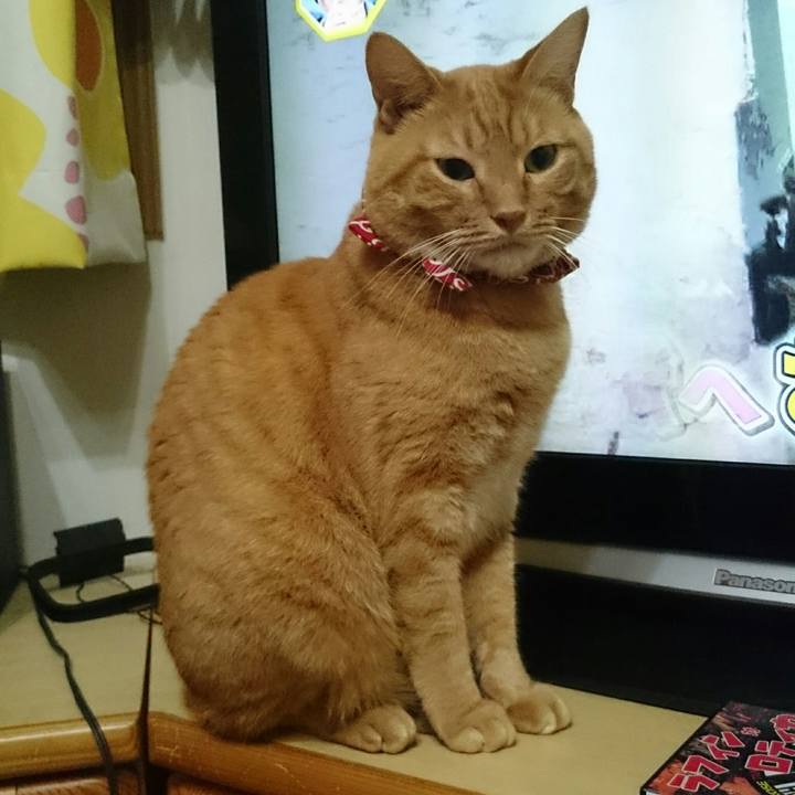 Feb020ef 17c7 4632 853b da721f400f50