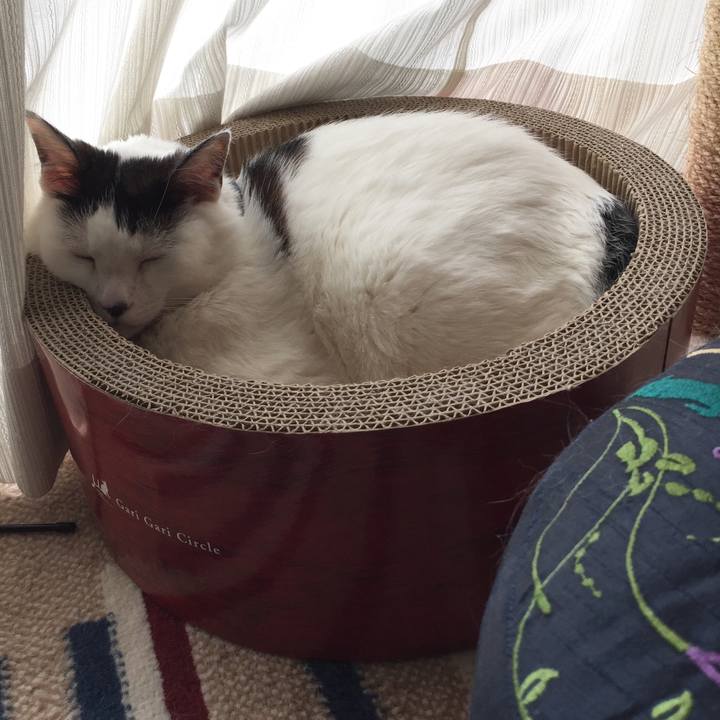 Feb06748 87f6 4093 80ea e2c5f26bcf56