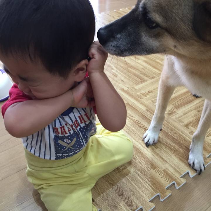 Feb0f186 03a8 4328 a5fc c8783586dde0