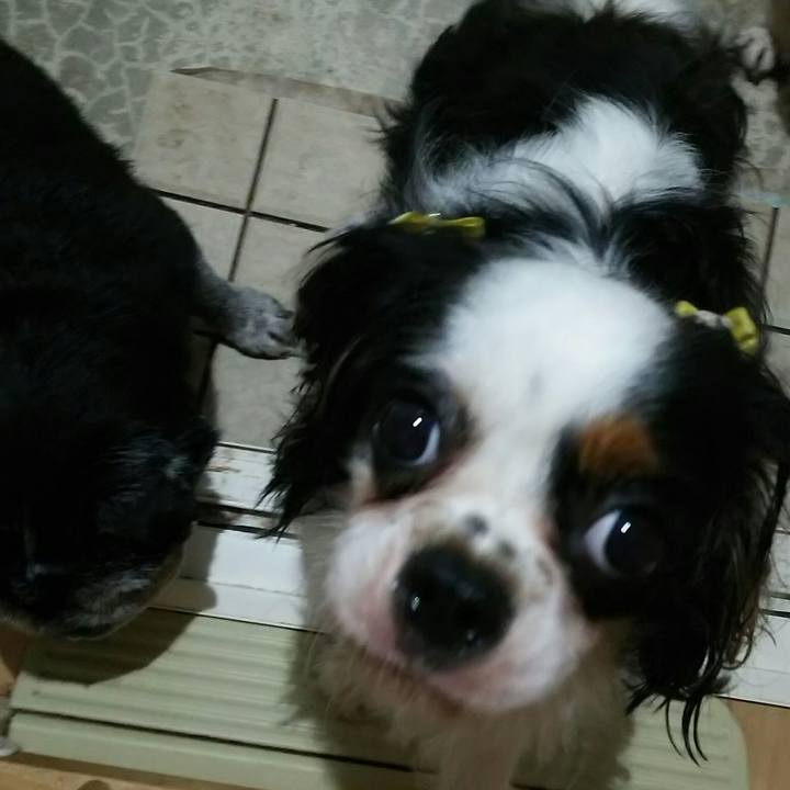 Feb12739 e6d3 41c2 87af 6fb1e3cfb139