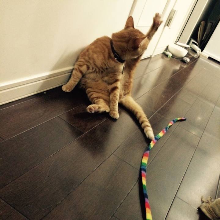 Feb13f53 b833 4984 b3b3 126e1bce2b5a