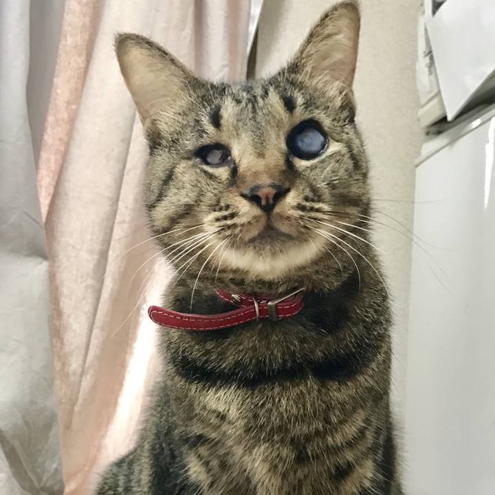 Feb169b8 1d99 4732 b6dd 94f615e3b3a4