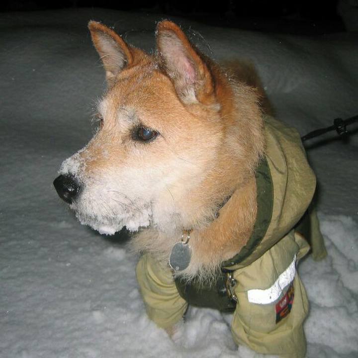 Feb1d15c e1b4 43c9 8ded 012591c5e0fc