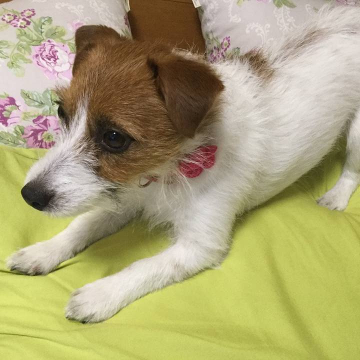 Feb1f7d3 721c 4150 a9d8 c2f779948cb8