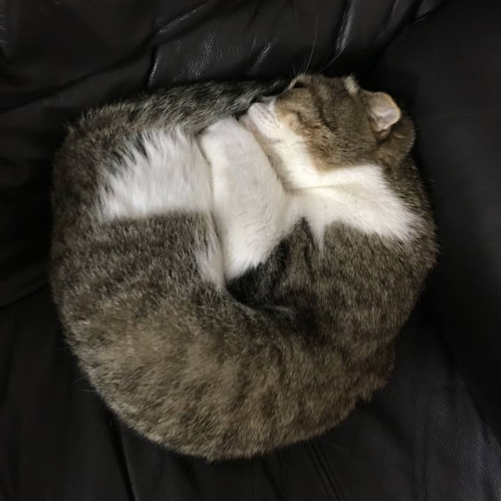 Feb22da9 d3ec 43d0 8df1 93068d5aac9b