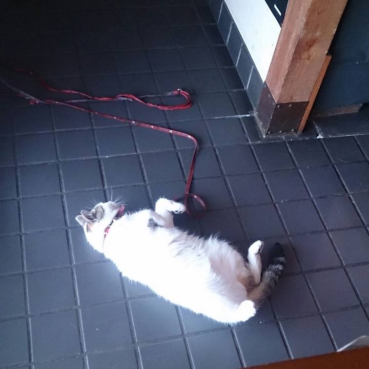 Feb23c11 7ba7 4cba 8d14 908461730502