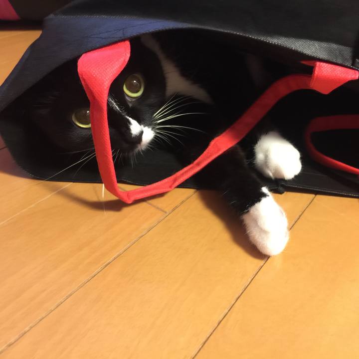 Feb258e9 1657 4b82 a4a9 8457b3a77bcf