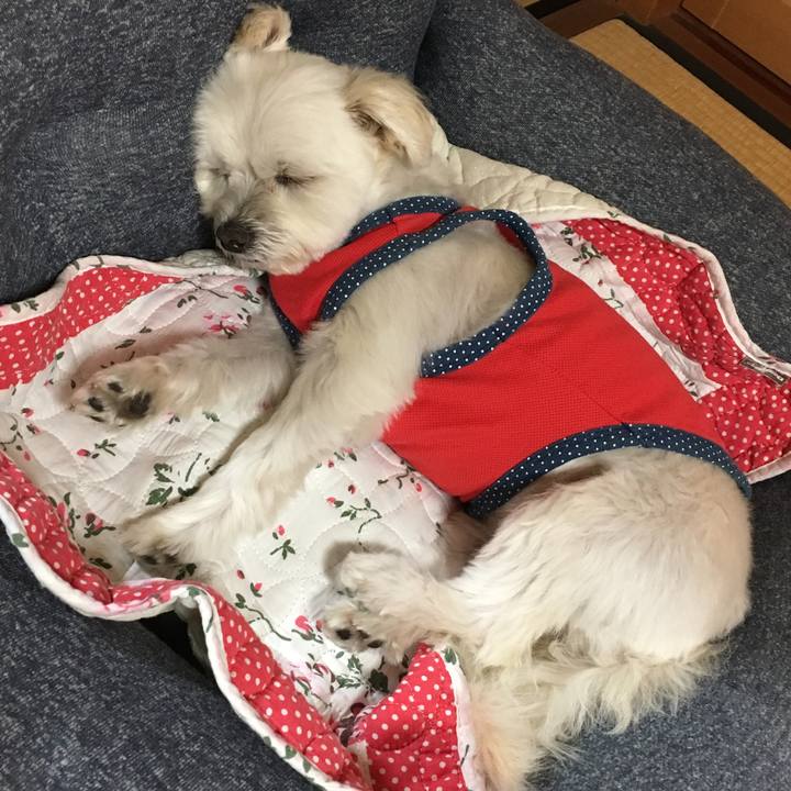 Feb26557 36c9 4b1e 91d6 9f45d109faff