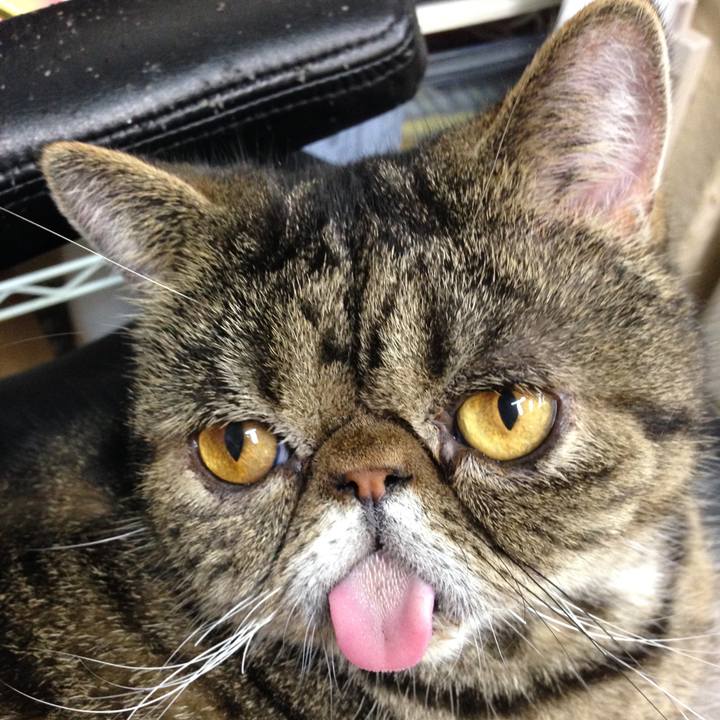 Feb2881e dd35 42dc aa09 7baf76e3f547