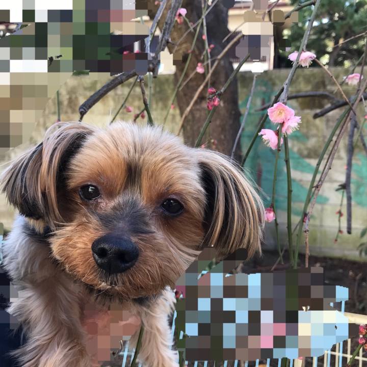 Feb2fb47 9bbe 441c 83d5 b2d18f658d59