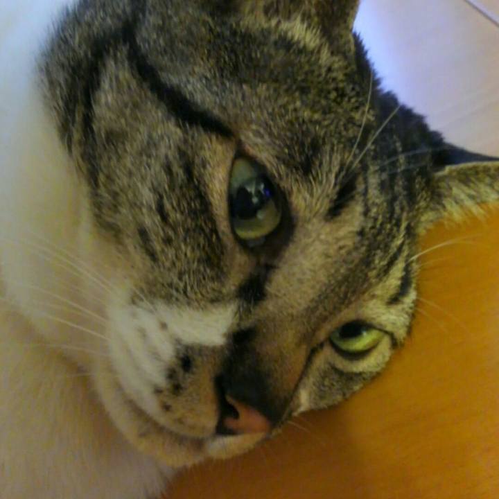 Feb3996f 0206 4d60 a814 bbe3abda1fa4