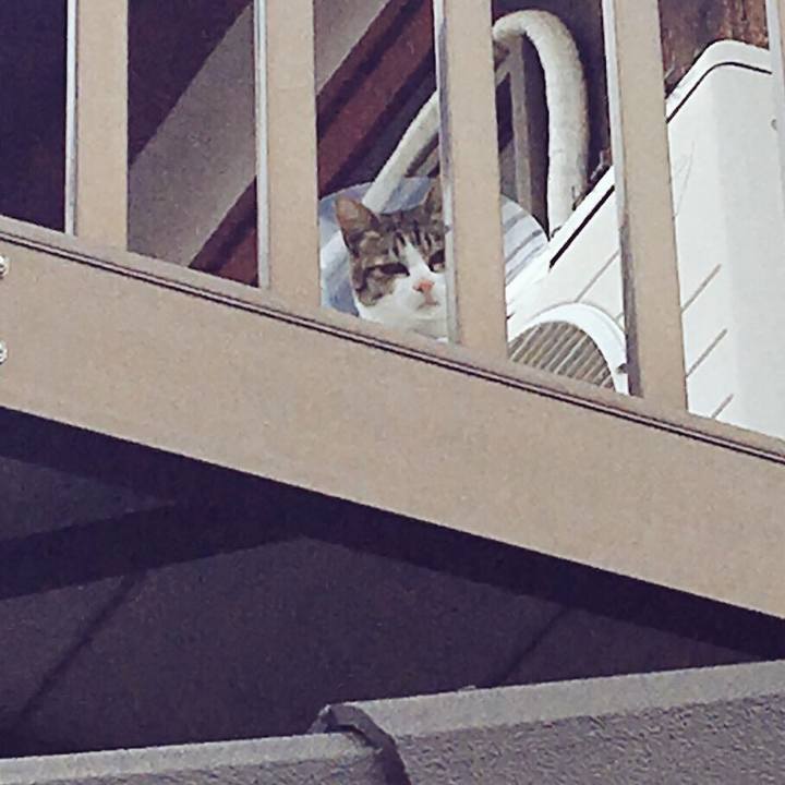 Feb460cd 5119 495a b254 dd2d0f90ea99