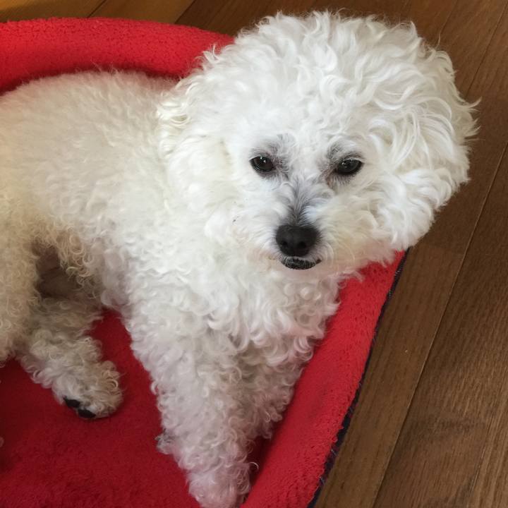 Feb4926e efb6 47ee 9d35 e1183fa92cad