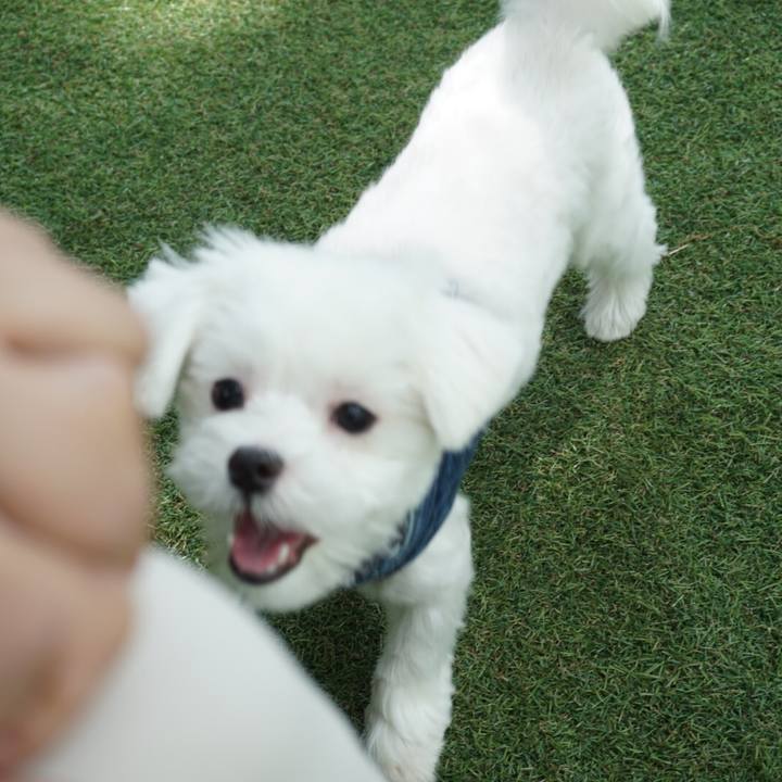 Feb514e6 c0ee 4a2c 9523 37b575a3e567