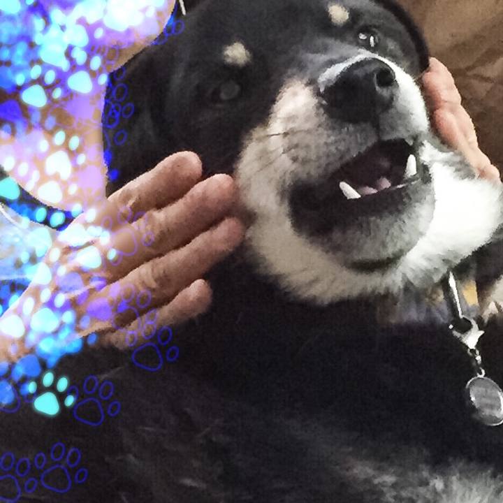 Feb5f71b deb3 47f3 82b5 e9b047c9a9a1