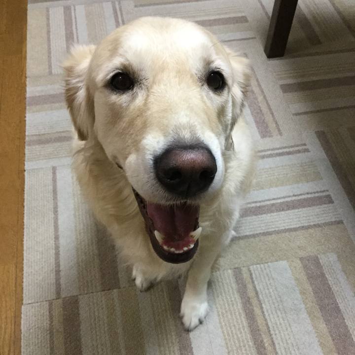 Feb6f197 072c 4b43 95be 48062a051ad1