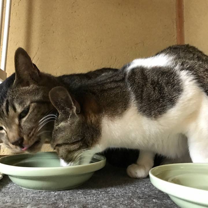 Feb7cd0e 4394 419e 9216 7c04541897aa