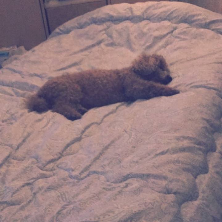 Feb89bf3 7a25 4297 a9f8 8abfe20f8ad5