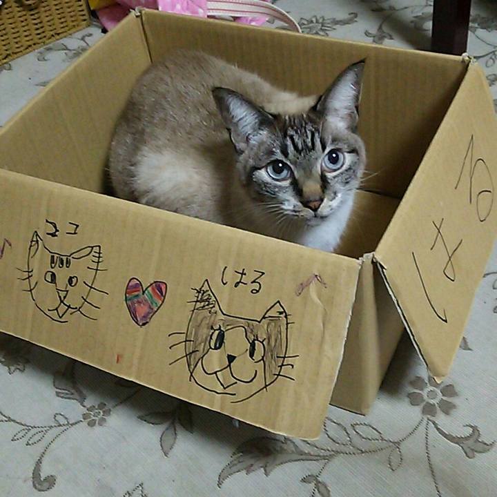 Feb8dca3 c102 45a2 87a9 ae5ce2328323