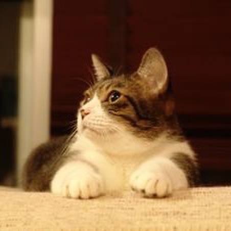 Feb9830a dd33 4298 a27f df7b80246fec