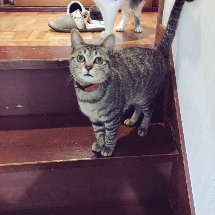 Feb9ae94 7272 418b b550 1a9839e95329