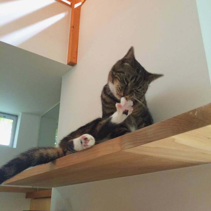 Feb9eb95 b010 4db9 8321 6a3e3f1d53ac