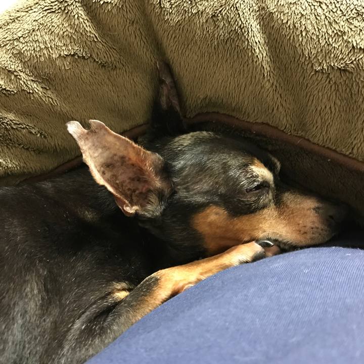 Feb9fdeb afe8 4475 8d2b 6a7317f57d8c