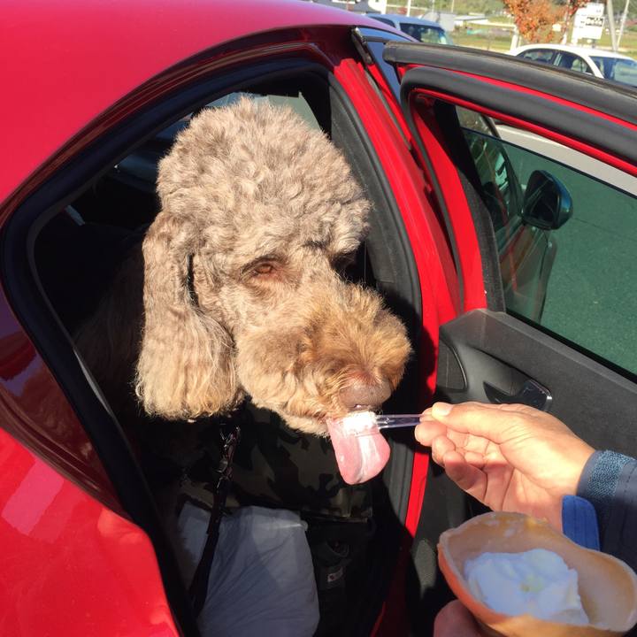 Feba0714 044f 4d4d 9be8 c93564db1bb2