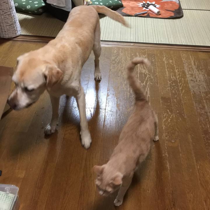 Feba6eff c049 46d3 80f9 c6deadc113fe